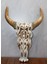 Ahşap Duvara Asmalı Bufalo Kafası 2