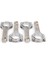 Audi 2.0l Tsı Chain Driven Hd Series Kol Kol R-AUD-009-I 1