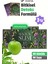 MagickSlim Elma Aromalı | 90 Günlük Kullanım | 10 Bitkili Karışım | Bitkisel Karışım İçecek 3 Kutu | 90 Saşe 1