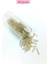Uzun Boru Kesme Boncuk Çap 2mm Uzunluk 10 mm - 60 Gram - Şeffaf Bej - BNC276 1