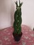 Özel Örgü Sansevieria Cylindrica, Paşa Kılıcı – Ofis & Salon Bitkisi 1