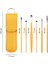 Şık Sarı Deri Çantalı 6 Parça Çelik Kulak Temizleme Seti 5