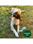 Doğal Pamuk Düğümlü Halat - Standart Boy Köpek Oyuncağı 5