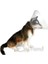 Eastland Köpek Kedi ve Köpek Elizabeth Yakalığı 20 cm 1