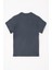 Bisiklet Yaka Füme Renk Erkek Çocuk Tshirt 5