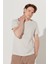 Erkek Gri Slim Fit Dar Kesim %100 Pamuk Bisiklet Yaka Tişört 4