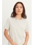 Erkek Gri Slim Fit Dar Kesim %100 Pamuk Bisiklet Yaka Tişört 9