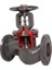 Metal Körüklü Vana Pn 16 Dn 65 1