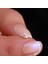 14 Ayar Altın Taşsız Denizci Tragus Piercing 3