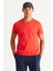 Erkek Kırmızı %100 Pamuk Slim Fit Dar Kesim Bisiklet Yaka Kısa Kollu Tişört 1