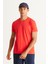 Erkek Kırmızı %100 Pamuk Slim Fit Dar Kesim Bisiklet Yaka Tişört 10
