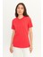 Erkek Kırmızı %100 Pamuk Slim Fit Dar Kesim Bisiklet Yaka Tişört 6