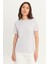 Erkek Lila Slim Fit Dar Kesim %100 Pamuk Bisiklet Yaka Tişört 6
