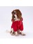 Kırmızı Mont Köpek Mont Köpek Kıyafeti Köpek Yağmurluğu(Küçük-Büyük Irklar) 1