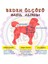 Kırmızı Mont Köpek Mont Köpek Kıyafeti Köpek Yağmurluğu(Küçük-Büyük Irklar) 3