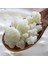 Kefir Mayası 2
