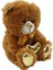 62500 Parlak Kalpli Peluş Ayı 30 cm 3