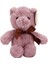 Kurdelalı Peluş Ayı 20 cm 1