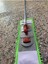 Elite Makarna Mop 50 cm Sap Aparat Mop 1 Adet 2
