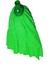 Elite 1 Adet Mop 1 Adet Ahşap Sapı ile Takım Mikrofiber Mop Paspas Yeşil 1 Adet 5