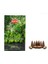 Elite Rain Forest (Yağmur Ormanı) Back Flow Konik Tütsü Tek'li Paket Geri Akış Tütsü 1 Adet 3