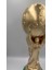 Elite 30 cm Boy Dünya Kupası Gold Kaplama Gerçek Boyut Messi Qatar Futbol ( 30CM 1kg ) 1 Adet 2