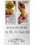Elite Altın Ayakkabı(17 cm ) ve Ballon D'or (15 cm )-Hediye Paketi ile Beraber Beton Büst/figür/biblo 1 Adet 2