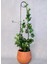 Elite 2'li Bitki Destek Çubuğu / 2xsiyah / Kancalıiğne Model / Boy: 65 cm 1 Adet 2