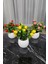 Elite Anneler Günü Modern Beton Saksıda 3'lü Set Nar Şeftali Limon Saksıda Yapay Meyve Ağacı 1 Adet 2