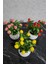 Elite Anneler Günü Modern Beton Saksıda 3'lü Set Nar Şeftali Limon Saksıda Yapay Meyve Ağacı 1 Adet 3