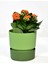 Elite Ixora 13 cm Saksı Çift Renkli Yeşil Tonları Genişlik 13 cm Yükseklik 13 cm 1,25 Lt 1 Adet 1