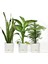 Elite Begonya 9 Litre Beyaz Tabaklı Saksı (Leoflowers Ürünü)Ağız Çapı 24.5 cm Yükseklik 23 cm 1 Adet 2