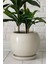 Elite 10LITRE Küre Saksı Tabaklı 23CMX23CMX21CM Ekru Renk 1 Adet 1
