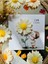 Elite 10 Adet Özel Tasarlanmış Kart ve Papatya Mum. Bebek Doğum, Babyshower, Doğum Günü, Hediyelik 1 Adet 4