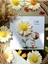 Elite 10 Adet Özel Tasarlanmış Kart ve Papatya Mum. Bebek Doğum, Babyshower, Doğum Günü, Hediyelik 1 Adet 5