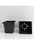 Elite Kare Saksı 9X9X8 cm 35 Adet Kare Vakum Saksı Üretim Saksısı Siyah Saksı Fide Tohum Ekim Saksısı 1 Adet 1
