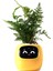 Elite Plantsıo Akıllı Evcil Hayvan Saksı Robotu 1 Adet 1