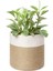 Elite Dekoratif Jüt Saplı Hasır Sepet Saksı 20CM x 20 Cm, Jüt Bej Saksılık, Dekoratif Saksı ve Havluluk 1 Adet 1