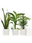 Elite Begonya Tasarım Beyaz Renkli 3.3 Lt Özel Altlıklı Saksı(Leoflowers)Ağız Çapı 18CM Yükseklik 17.5 cm 1 Adet 2