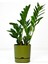 Elite Begonya 5 Lt Yeşil Saksı (Leoflowers Ürünü) FMA044643 1 Adet 2