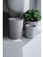 Elite Ham Beton 2li Büyük Boy Beton Saksı 30X22-20X17 1 Adet 1