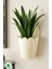 Elite Aster Lüx Metal Duvar Saksısı, Modern Pinterest Duvar Dekorasyonu, Duvar Çiçeklik, Askılı Saksı 1 Adet 1