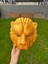 Vıp Aslan Mask – Altın Tasarım, Tam Ölçü Cosplay Maskesi 4