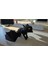 Flexi Toothless Ejderha Figürü (Kanatlı & Kanatsız) – 3D Baskı 2