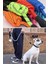 Reflektörlü Fosforlu Köpek Gezdirme Halatı Tasma Kayışı Metal Kancalı 130 cm 8