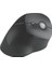 Pro Fit Ergo Dikey Kablosuz Fare 3