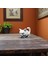 Sinirli Kedi Figürü – 3D Dekoratif Biblo 1