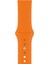Apple Watch Uyumlu Series 3 4 5 6 7 8 9 Se 38 40 41 mm Series 10 42MM (S) Silikon Kordon Kayış 1