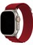 Apple Watch Uyumlu Series 3 4 5 6 7 8 9 Se 42 44 45 49 mm Alpine Loop Kordon Kayış 2