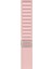 Apple Watch Uyumlu Series 3 4 5 6 7 8 9 Se 42 44 45 49 mm Alpine Loop Kordon Kayış 1